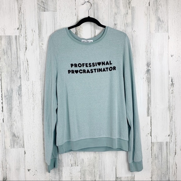 Wildfox Professional Procrastinator Pullover Small , Large - Picture 4 of 6